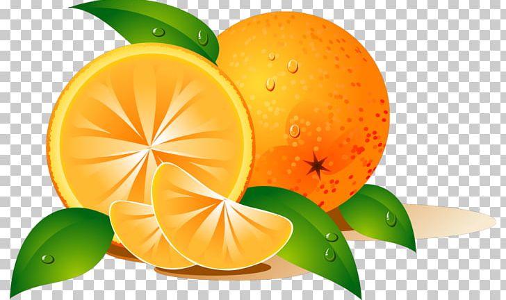 Orange Desktop PNG, Clipart, Bitter Orange, Citric Acid, Citrus, Desktop Wallpaper, Food Free PNG Download