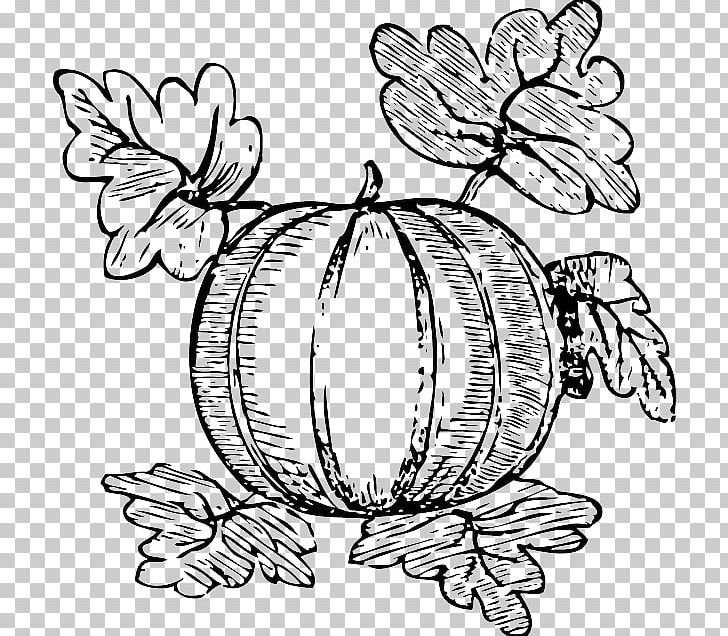 Watermelon PNG, Clipart, Artwork, Black And White, Butterfly, Cant, Flower Free PNG Download