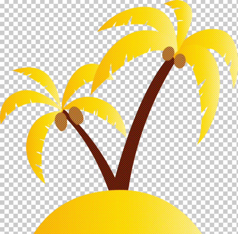 Palm Trees PNG, Clipart, Beach, Biology, Bud, Cartoon Tree, Herbaceous Plant Free PNG Download