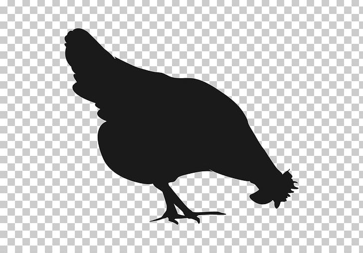 Chicken Silhouette PNG, Clipart, Animals, Beak, Bird, Black And White, Chicken Free PNG Download