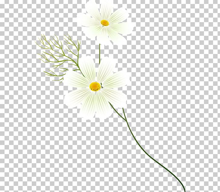 Cut Flowers Plant Stem Petal Line PNG, Clipart, Art, Cosmos, Cut Flowers, Daisy, Daisy Family Free PNG Download