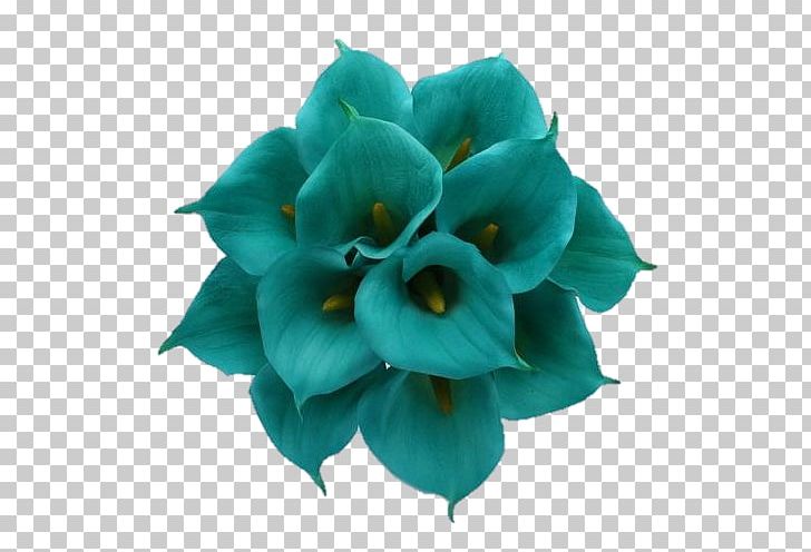 Flower Bouquet Arum-lily Wedding Teal PNG, Clipart, Aqua, Arumlily, Blue, Calla Lily, Centrepiece Free PNG Download