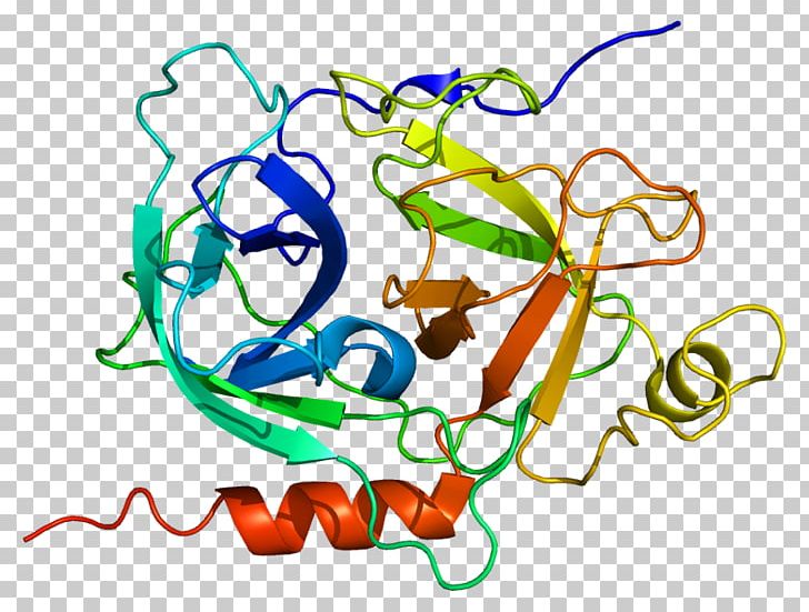 GZMK Granzyme Protein Gene Serine Protease PNG, Clipart, Area, Art, Artwork, Dna, Entrez Free PNG Download