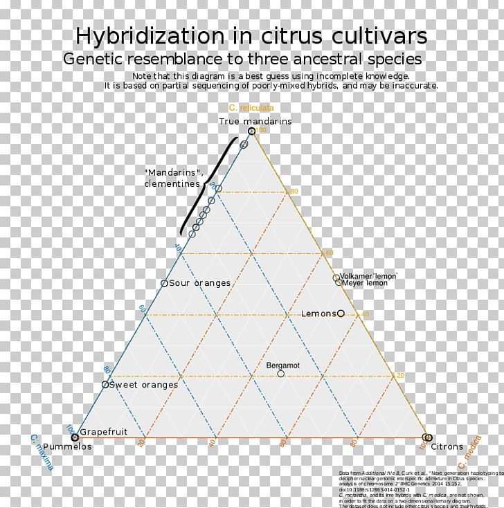 Triangle Citrus Ternary Plot Diagram PNG, Clipart, Angle, Area, Art, Citrus, Comparative Genomic Hybridization Free PNG Download