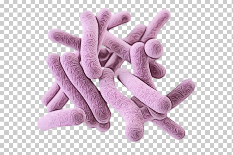 Bacteria Pathogenic Bacteria Pathogen Streptococcus Microorganism PNG, Clipart, Bacteria, Drawing, Microorganism, Paint, Pathogen Free PNG Download