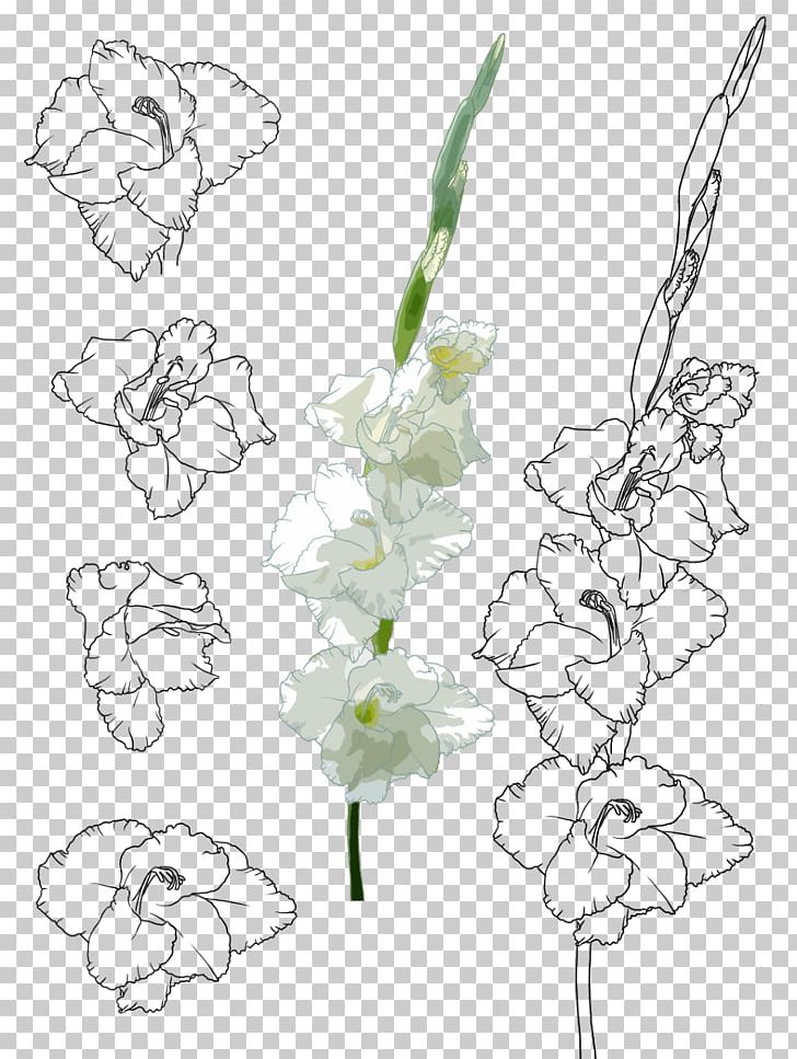 Floral Design Gladiolus Xd7gandavensis Painting Illustration PNG, Clipart, Branch, Clothing, Creative Arts, Cut Flowers, Fictional Character Free PNG Download
