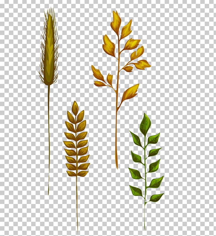 Leaf Grasses Yellow PNG, Clipart, Autumn Leaves, Branch, Commodity, Computer Software, Display Resolution Free PNG Download