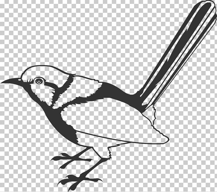 Wren Bird Stencil PNG, Clipart, Animals, Art, Beak, Bird, Black And White Free PNG Download
