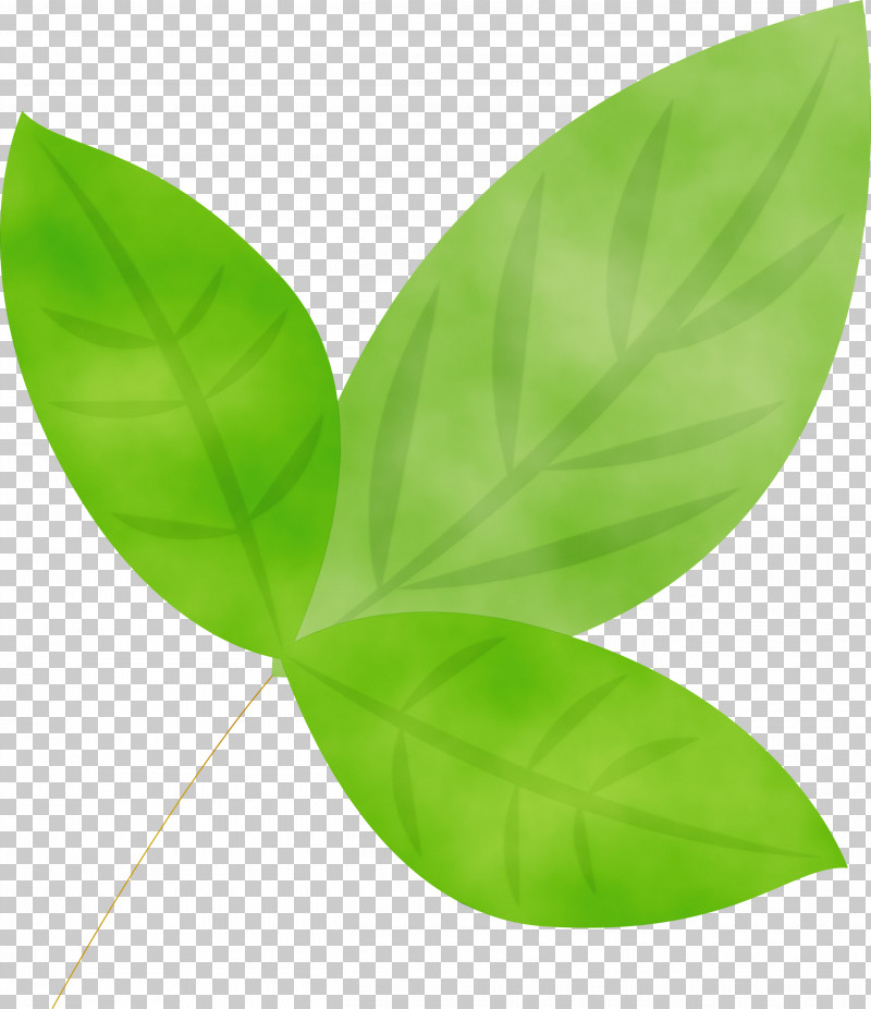 Leaf Green Plant Flower Petal PNG, Clipart, Clover, Flower, Green, Leaf, Paint Free PNG Download
