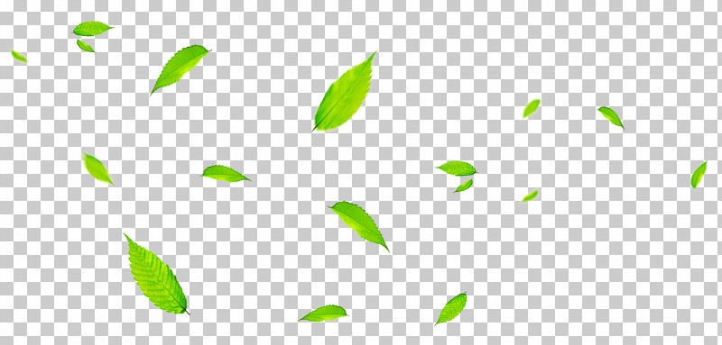 Leaf Green Poster Color Branch PNG, Clipart, Branch, Color, Green, Leaf, Plant Stem Free PNG Download