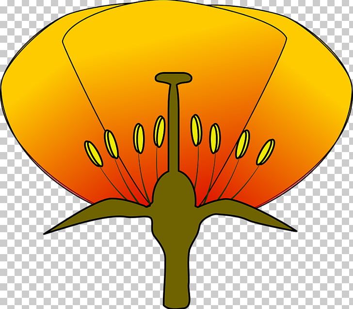 Diagram Flower PNG, Clipart, Artwork, Brain, Diagram, Flower, Flowering Plant Free PNG Download