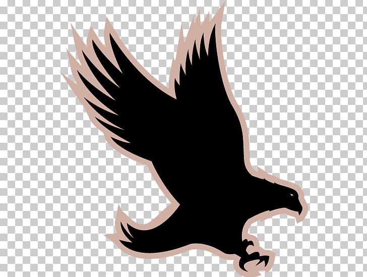Eagle Hawkeye Jamaica Silhouette Graphics PNG, Clipart, Animal, Beak, Bird, Bird Of Prey, Eagle Free PNG Download