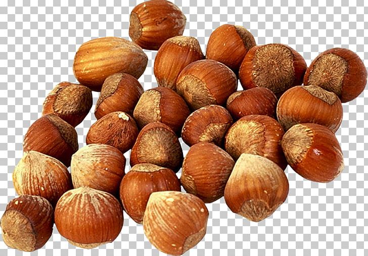 Hazelnut Tree Nut Allergy Chestnut Food PNG, Clipart, Auglis, Chestnut, Common Hazel, Definition, Eating Free PNG Download