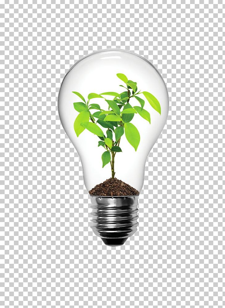 Incandescent Light Bulb Lighting LED Lamp Electric Light PNG, Clipart, Bulb, Clips, Creative Background, Creative Graphics, Creativity Free PNG Download