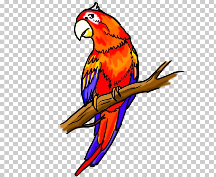 parrots flying drawing