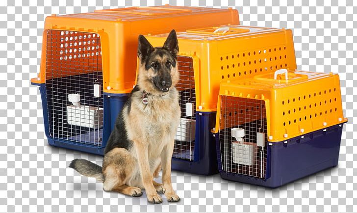 Mover Pet Travel Relocation Transport PNG, Clipart, Box, Cargo, Courier, Dhl Express, Dog Crate Free PNG Download