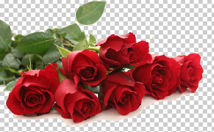 Rose Red Flower PNG, Clipart, Artificial Flower, Color, Cut Flowers, Display Resolution, Floral Design Free PNG Download
