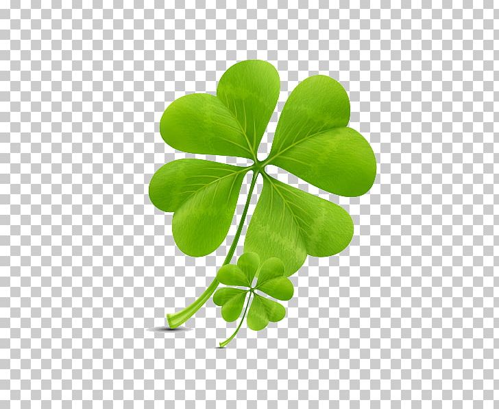 Clover Icon Design Graphic Design PNG, Clipart, Animation, Art, Creativity, Drawing, Flower Pattern Free PNG Download