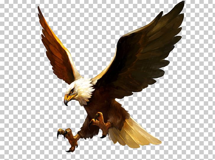 Might And Magic: Heroes Online Bald Eagle Bird Video Game PNG, Clipart, Accipitriformes, Animals, Bald Eagle, Beak, Bird Free PNG Download