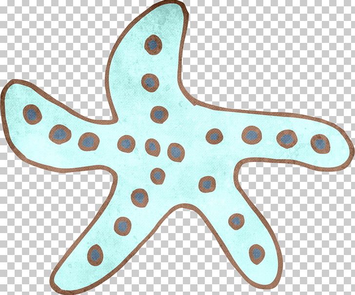 Starfish Blue PNG, Clipart, Animals, Beautiful Starfish, Blue, Cartoon, Cartoon Starfish Free PNG Download