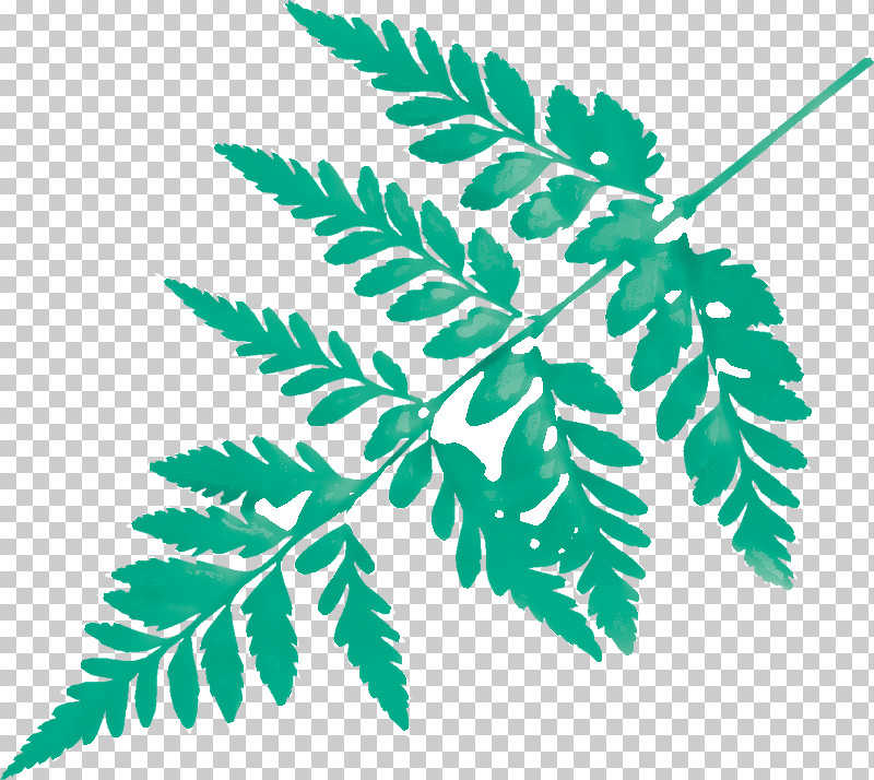 Branch Plant Stem Leaf Line Plants PNG, Clipart, Biology, Branch, Leaf, Line, Plants Free PNG Download