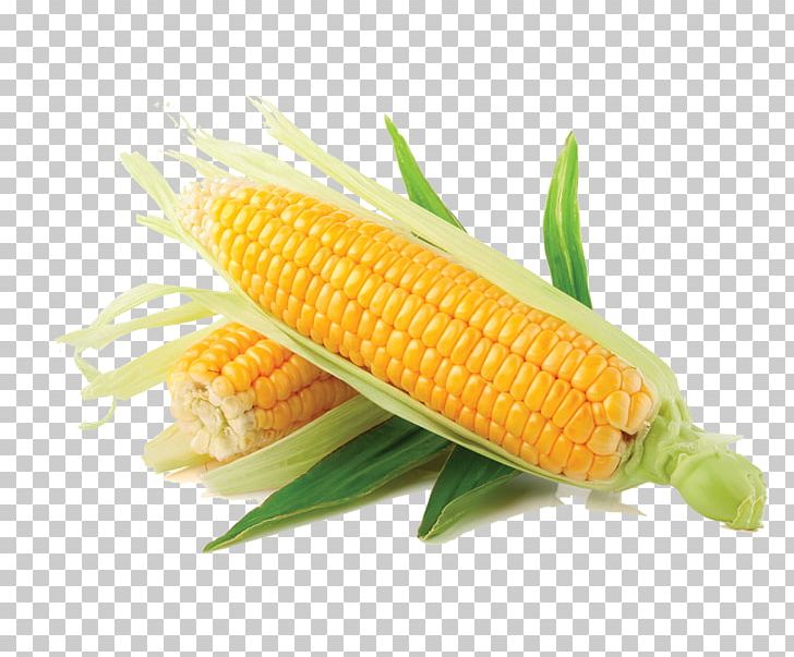Corn On The Cob Maize Vegetable Sweet Corn Salad PNG, Clipart, Bean, Cartoon Corn, Cereal, Commodity, Corn Free PNG Download