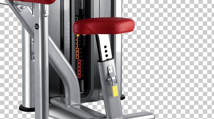 Biceps Curl Bodybuilding Overhead Press Bench PNG, Clipart, Automotive Exterior, Bench, Biceps, Biceps Curl, Bodybuilding Free PNG Download