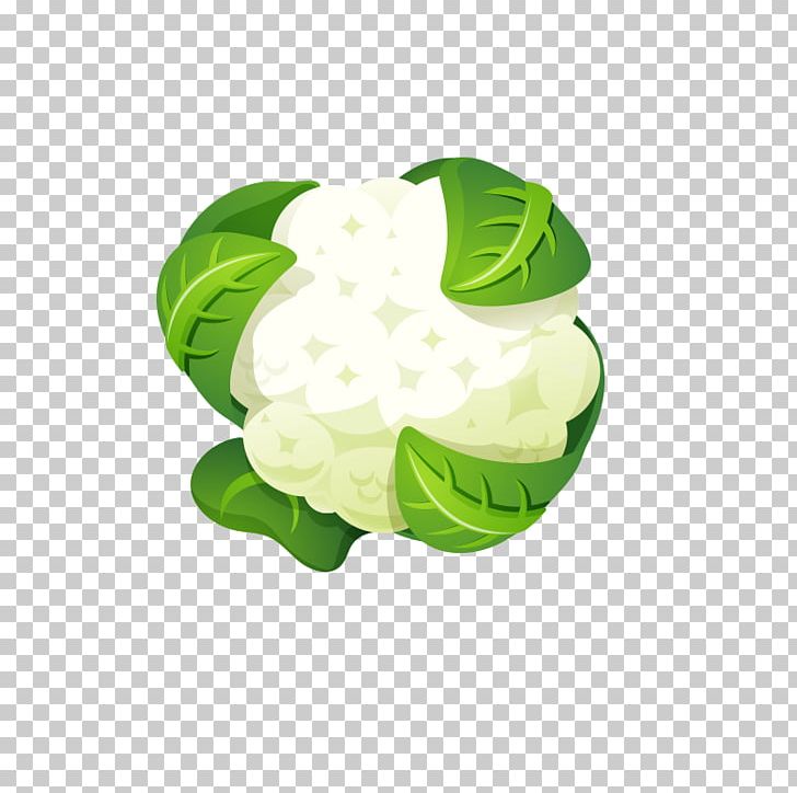 Cauliflower Broccoli Ingredient Food PNG, Clipart, Balloon Cartoon, Boy Cartoon, Brassica Oleracea, Broccoli, Cartoon Free PNG Download