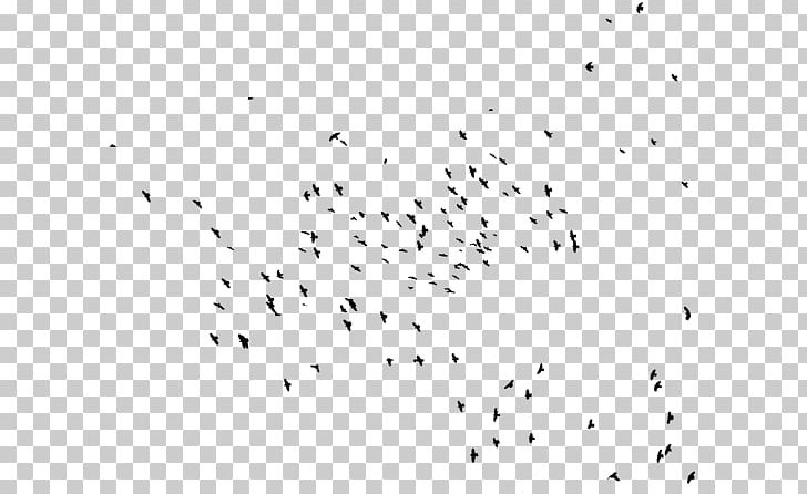 Hummingbird Flock Bird Migration Swallow PNG, Clipart, Animal Migration, Beak, Bird, Bird Migration, Black And White Free PNG Download