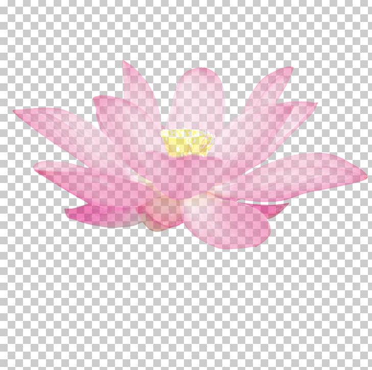 Nelumbo Nucifera Gratis PNG, Clipart, Chinese Border, Chinese New Year, Chinese Style, Coupon, Download Free PNG Download