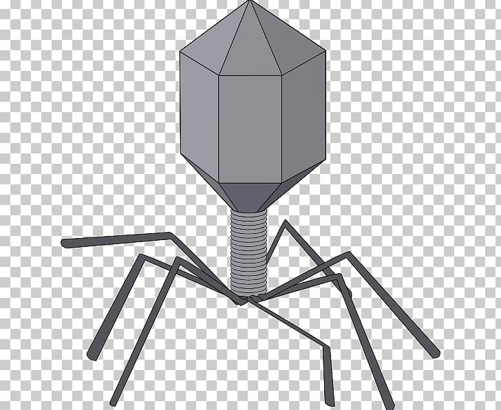 Virus Viral Bacteriophage PNG, Clipart, Angle, Bacteria, Bacteriophage, Computer Icons, Download Free PNG Download