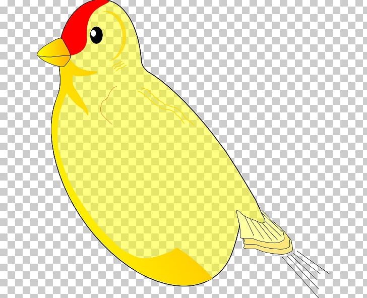 Bird Beak Wing PNG, Clipart, Animals, Artwork, Beak, Bird, Cartoon Free PNG Download