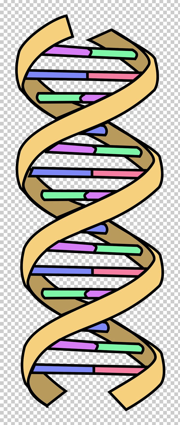 DNA Nucleic Acid Double Helix Genetics PNG, Clipart, Area, Artwork, Biology, Cell, Crispr Free PNG Download