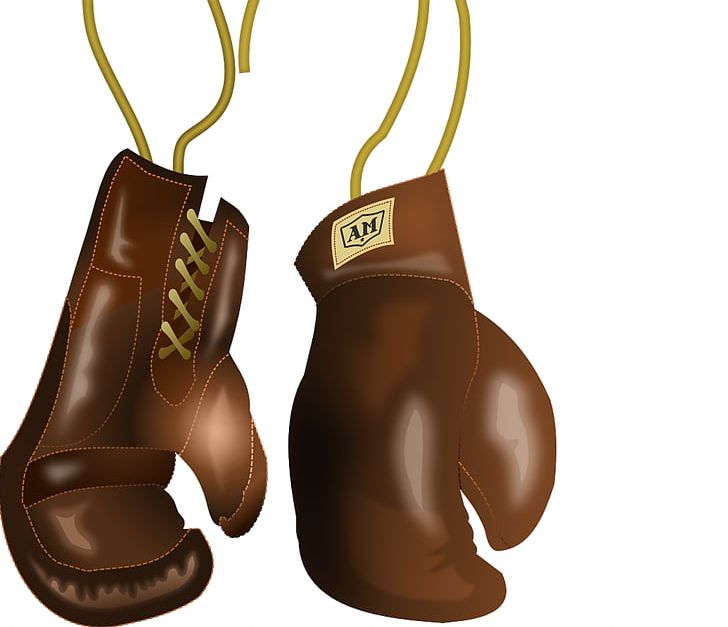 Hoodie Boxing Glove PNG, Clipart, Boxing, Boxing Equipment, Boxing Glove, Boxing Gloves, Clothing Free PNG Download