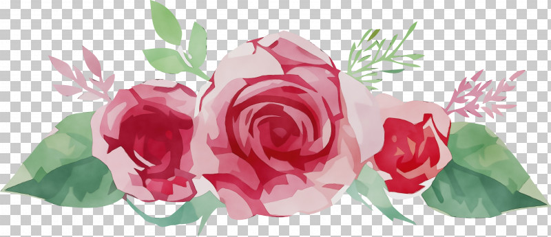 Floral Design PNG, Clipart, Cabbage Rose, Cut Flowers, Flora, Floral Design, Floribunda Free PNG Download