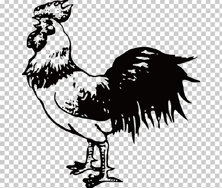 Chicken Rooster Cartoon Illustration PNG, Clipart, Animal Material, Animals, Art, Beak, Bird Free PNG Download