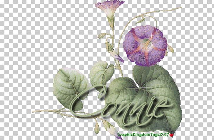 El En O Be Sha PNG, Clipart, Blog, Flower, Flowering Plant, Google Sites, Hobby Free PNG Download