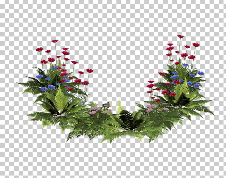 Flower Plant PNG, Clipart, Christmas Ornament, Cool, Flora, Flower, Flowering Plant Free PNG Download