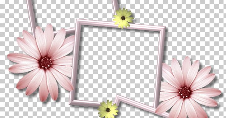 Frames Desktop Collage PNG, Clipart, Collage, Computer Icons, Cut Flowers, Daisy Border, Decor Free PNG Download