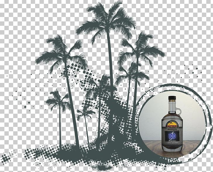 Ibiza IStock PNG, Clipart, Arecaceae, Arecales, Bourbon Whiskey, Corn, Download Free PNG Download