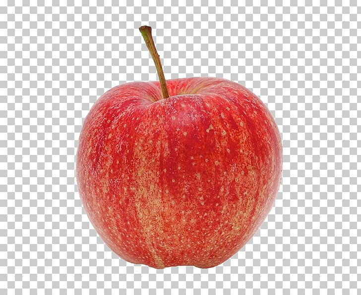 McIntosh Apple Juice Gala Red Delicious PNG, Clipart, Accessory Fruit, Apple, Apple Juice, Braeburn, Coxs Orange Pippin Free PNG Download
