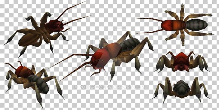 Carnivores 2 Mandible Insect PNG, Clipart, Animal, Animals, Arthropod, Carnivore, Carnivores Free PNG Download