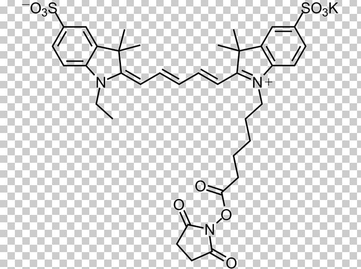 Cyanine Maleimide N-Hydroxysuccinimide Amine Carboxylic Acid PNG, Clipart, Acid, Amine, Angle, Area, Auto Part Free PNG Download