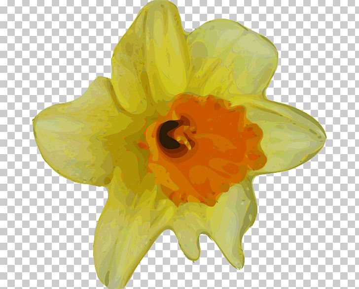 Flower Buttercup Yellow PNG, Clipart, Amaryllis Family, Buttercup, Cliparts Real Flowers, Color, Common Dandelion Free PNG Download