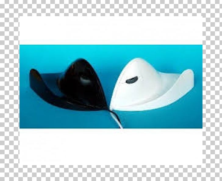 Hat Dolphin PNG, Clipart, Clothing, Dolphin, Fashion Accessory, Fin, Hat Free PNG Download