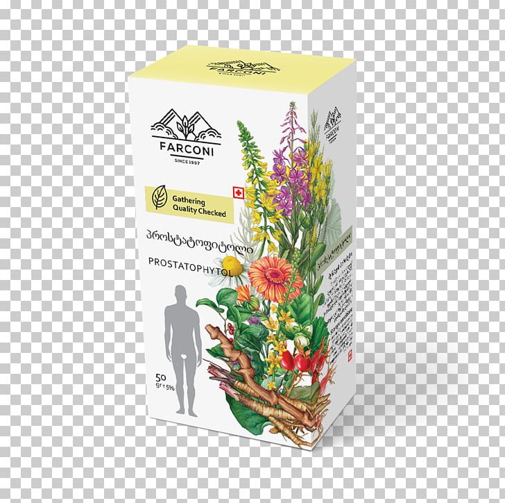 Medicinal Plants Herb Bay Laurel Medicine Floral Design PNG, Clipart, Agrimonia, Bay Laurel, Cut Flowers, Flora, Floral Design Free PNG Download