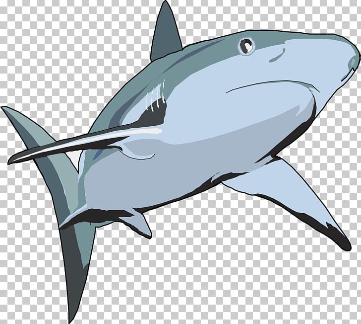 Shark Euclidean Illustration PNG, Clipart, Animal, Animals, Blue Shark, Cartilaginous Fish, Cartoon Shark Free PNG Download