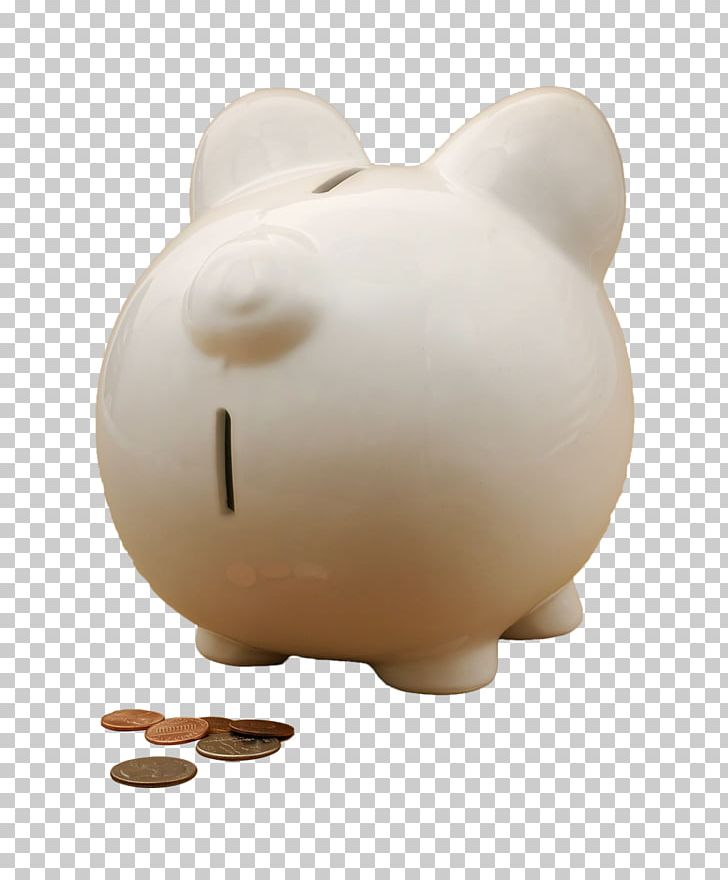 Domestic Pig Piggy Bank PNG, Clipart, Adobe Illustrator, Bank, Bank Card, Banking, Banks Free PNG Download