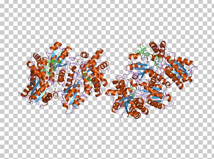 Ferrochelatase Heme B Enzyme Protoporphyrin IX PNG, Clipart, Art, Biosynthesis, Bound, Catalysis, Electronics Free PNG Download