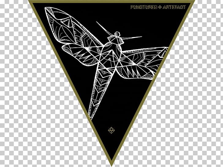 Geometry Platonic Solid Flash Triangle Shape PNG, Clipart, Butterflies And Moths, Flash, Geometry, Hummingbird Hawkmoth, Icosahedron Free PNG Download